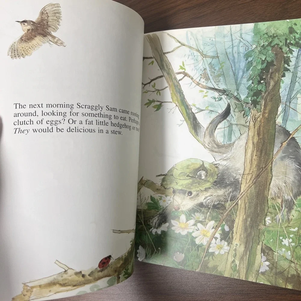THE SLEEPY DORMOUSE (MARK EZRA/GAVIN‎ ROWE COLLECTION) Mint Condition 1995